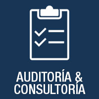 audit & consulting