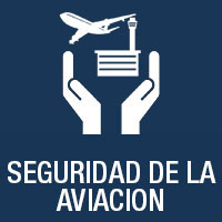 air transport security training